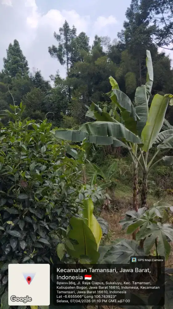 DIJUAL TANAH VIEW GUNUNG SALAK & KOTA BOGOR – TAMANSARI