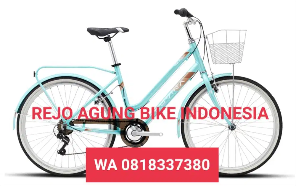 Polygon Lovina 26 Tosca