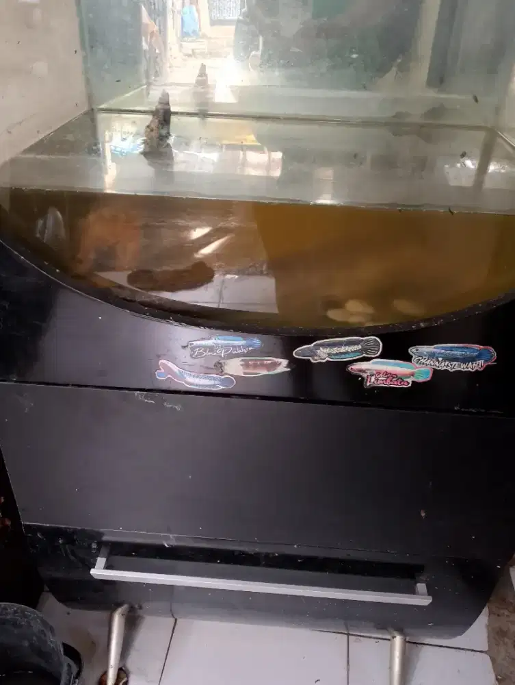 aquarium ikan kondisi msh bagus