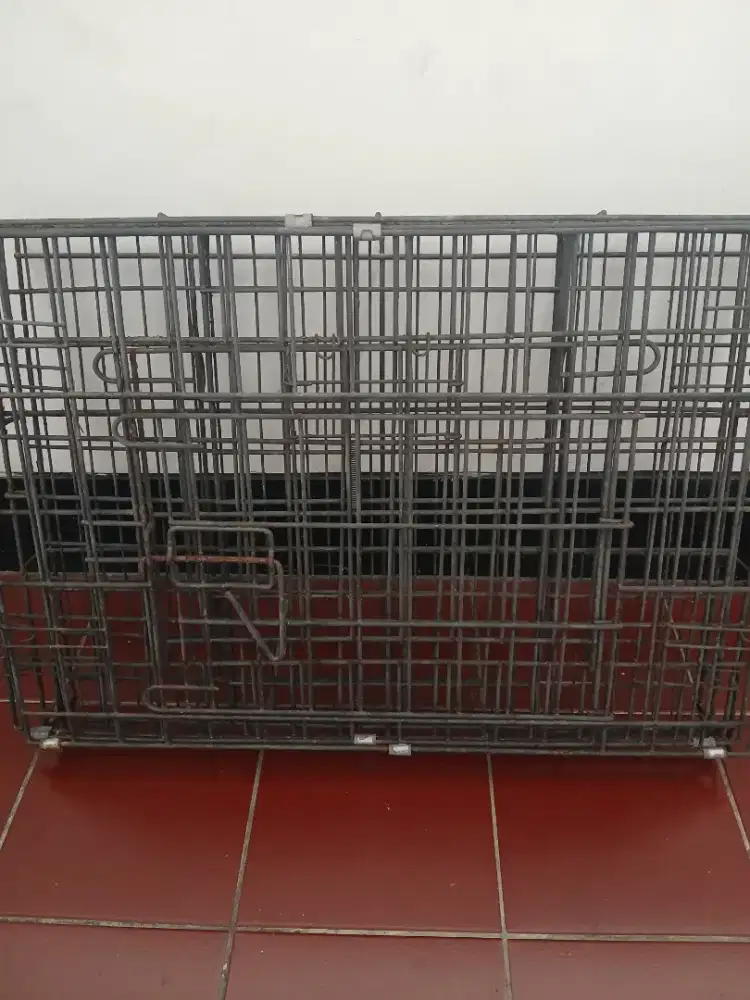 Kandang kucing, kelinci juga bisa