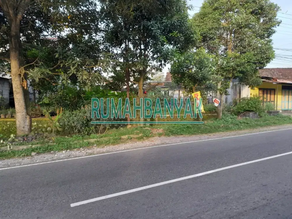 Dijual Tanah Murah Di Tepi JL Magelang Dekat Dengan SCH dan Pemkab Sleman