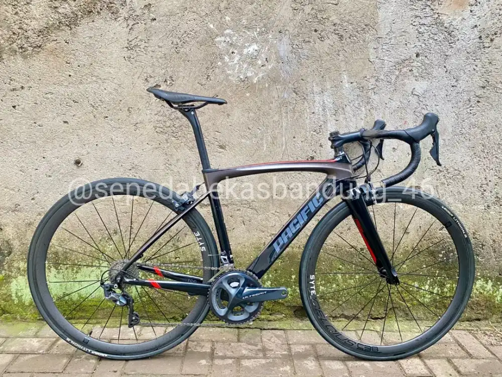 Roadbike/Sepeda Balap Pacific Primum 9.0 Carbon