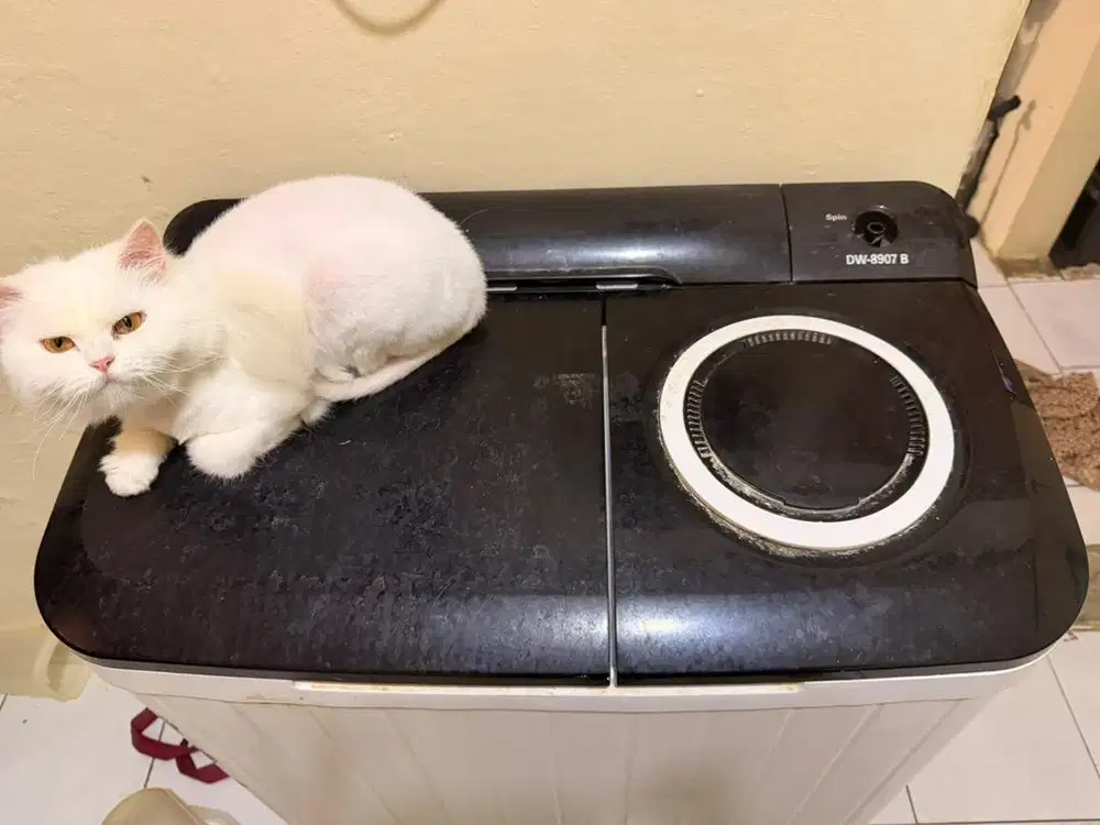 DENPOO MESIN CUCI 2 TABUNG DW 8907B 4P 8KG