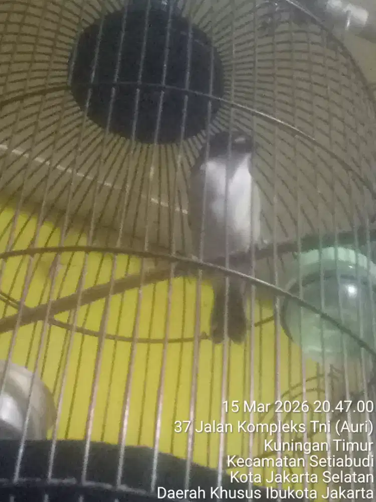 JUAL SANTAI SAMBIL NGOPI