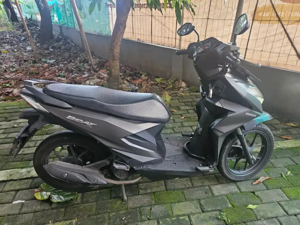 Beat Deluxe 2024  Fresh