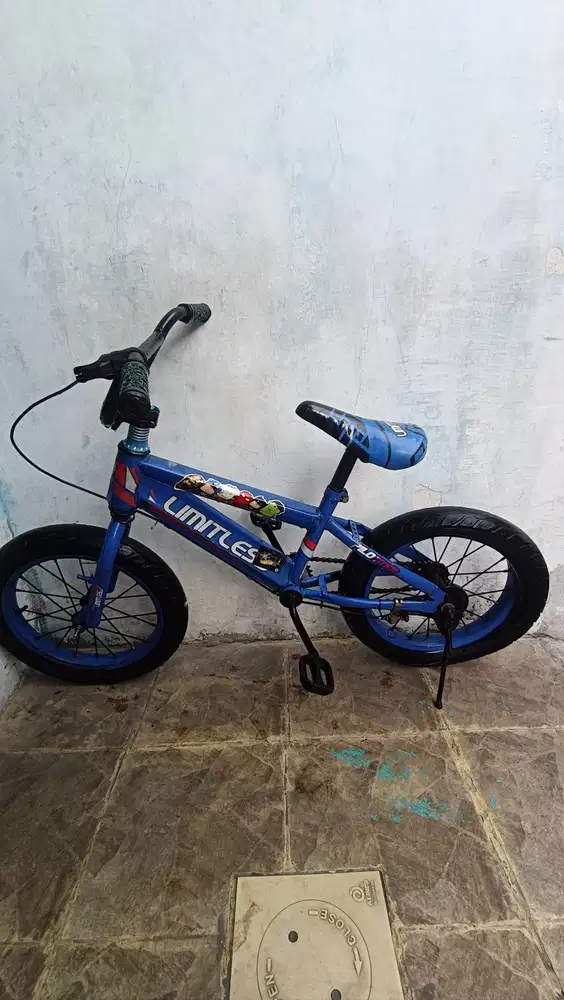 Sepeda anak uk 16