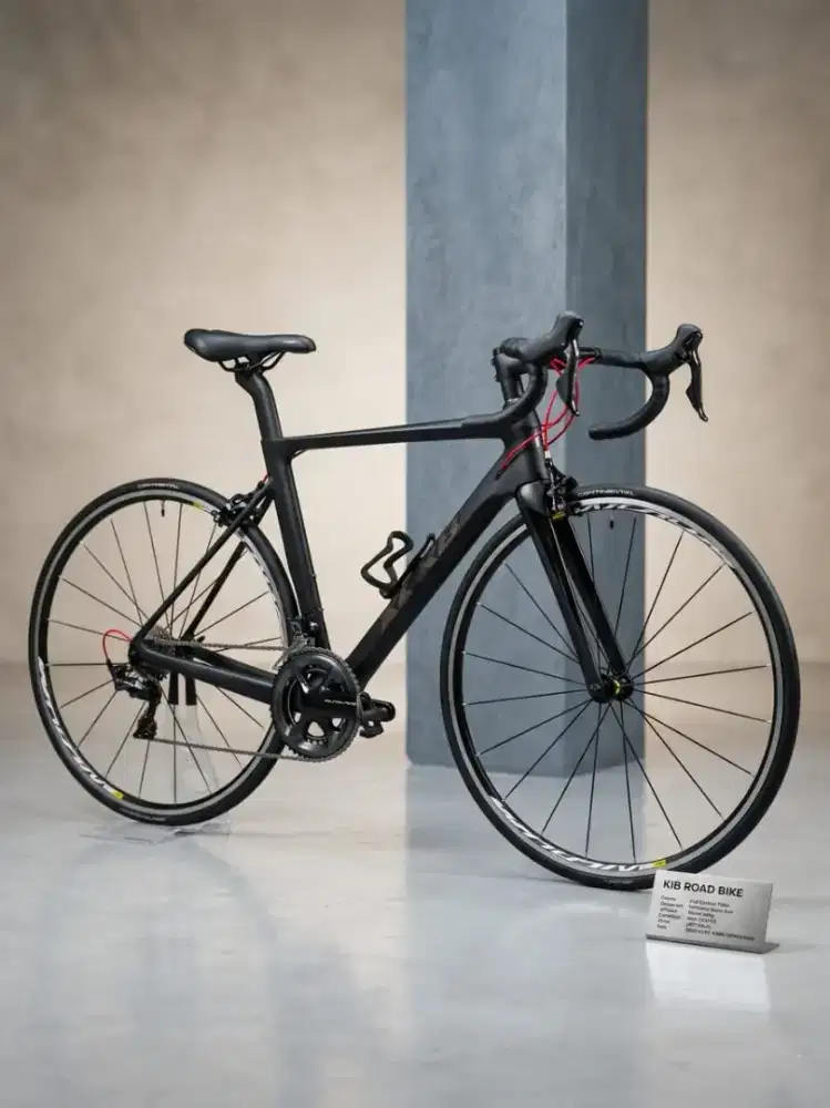 Sepeda Roadbike full karbon