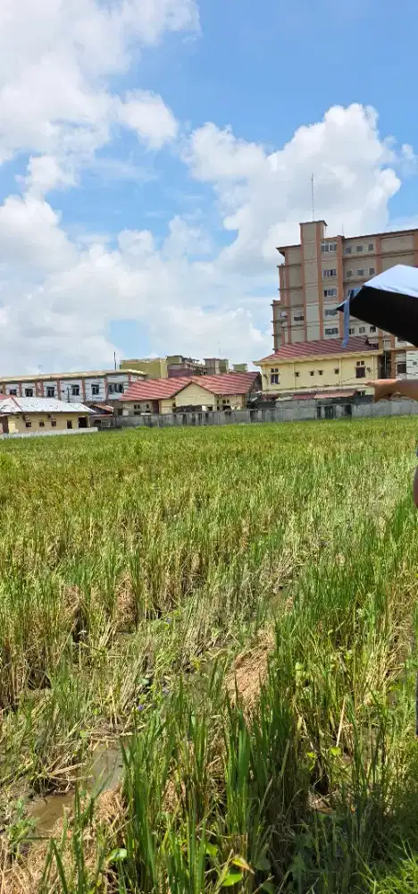 Dijual Tanah Sawah di belakang RS Grand Medika