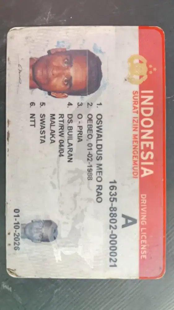 Driver pribadi or serabutan