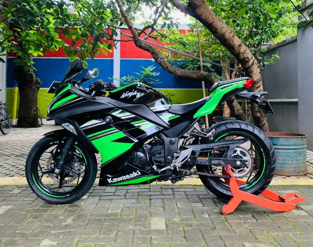 Kawasaki ninja 250 krt