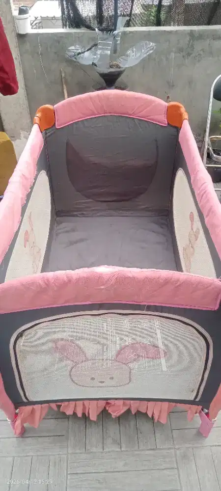 Bok baby Does the pet shop