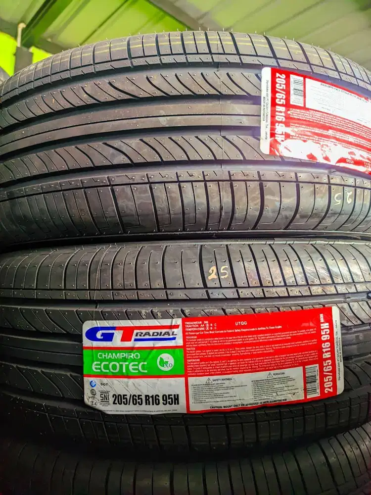 GT Champiro Ecotec 205 65 16