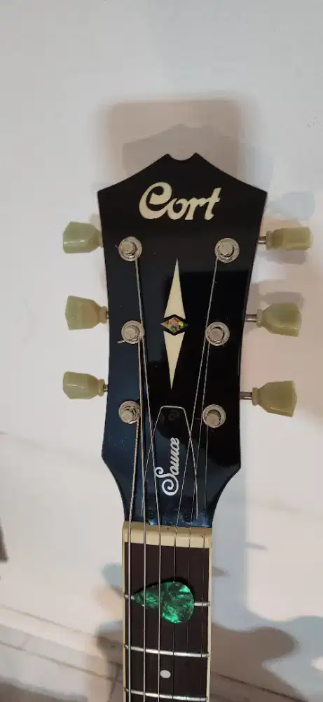Gitar listrik cort cource bv semi hollow bigsby