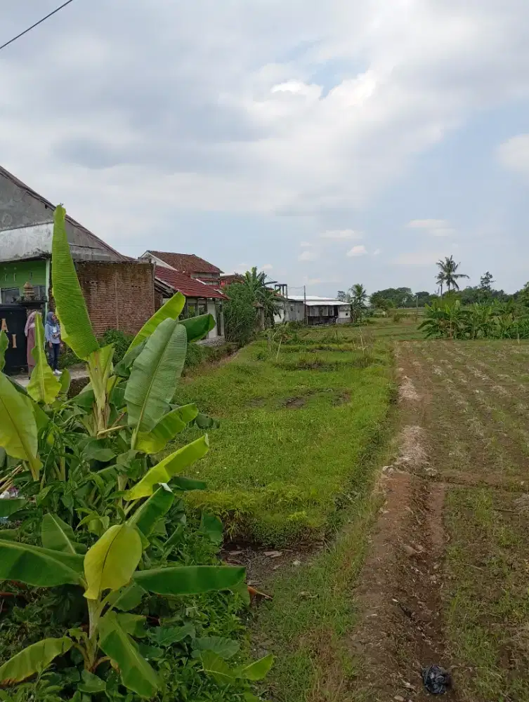 Dijual Tanah Strategis di Padamara Kab. Purbalingga
