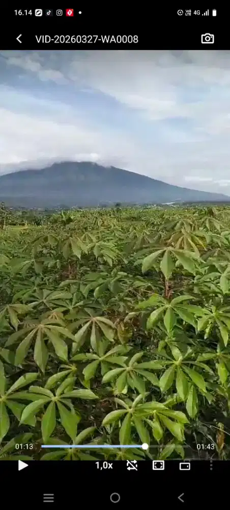 lokasi view gunung dan indah dijual