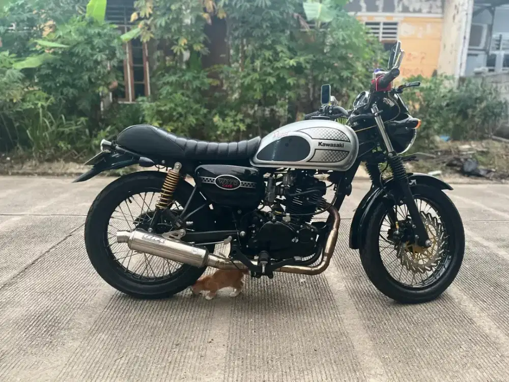 Motor Kawasaki w175 cafe