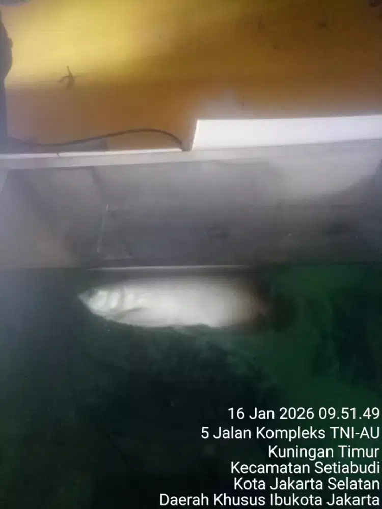 JUAL SANTAI SAMBIL NGOPI