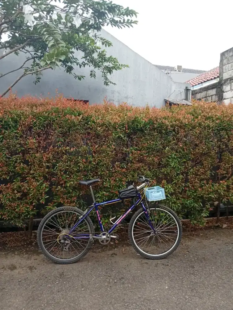 Sepeda commuter