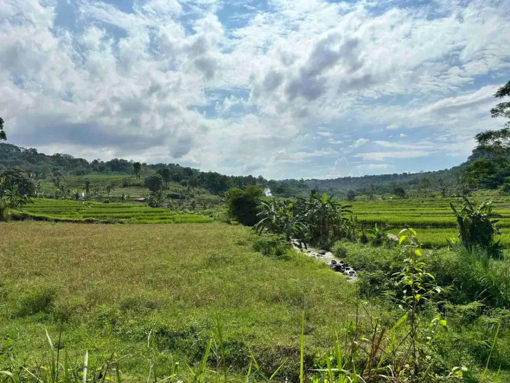 Tanah seperti view ubud bali dan nempel sungai