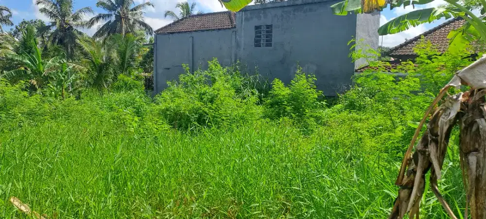 Disewakan tanah premium