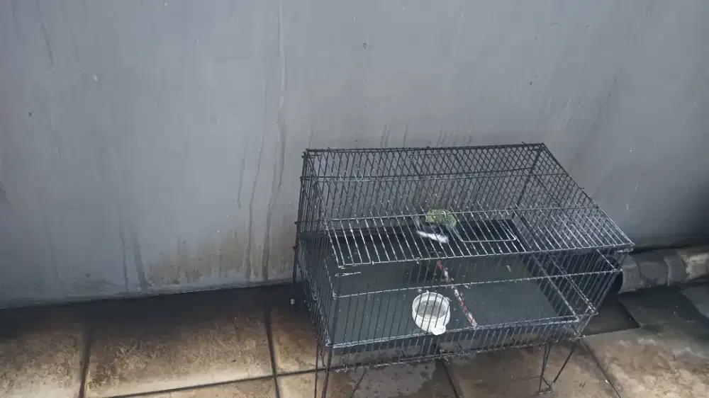 Jatim ful item sampe bawah