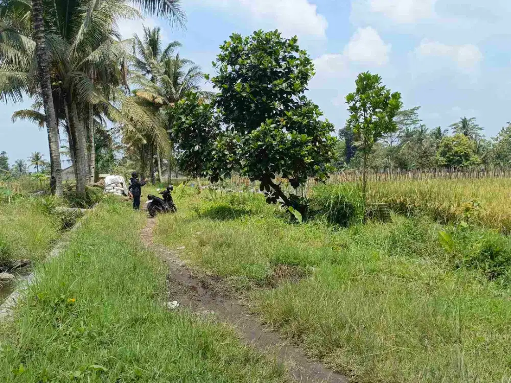 tanah  sleman pakem jln palagan km 14