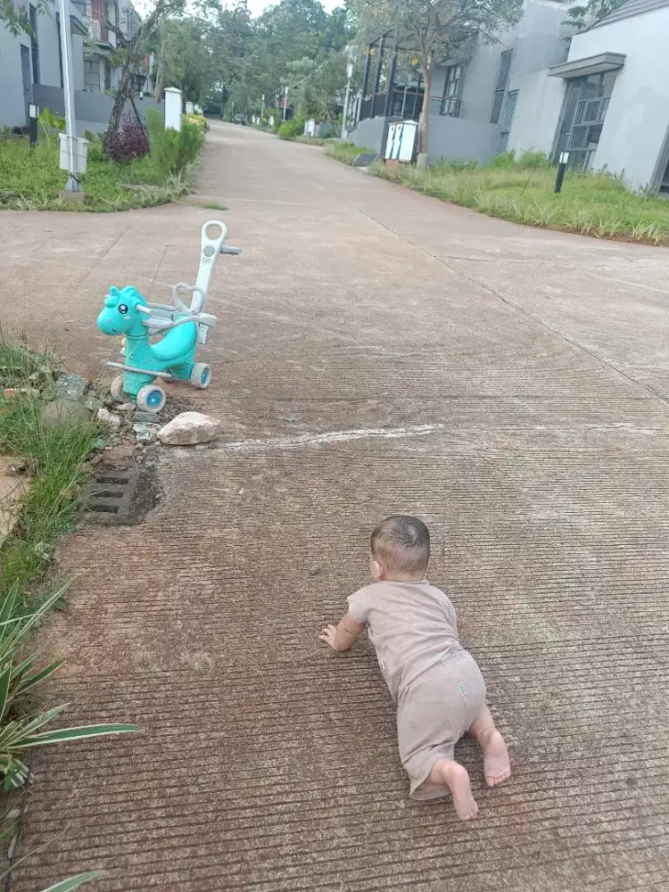 BUTUH ART & PENGASUH MENGINAP