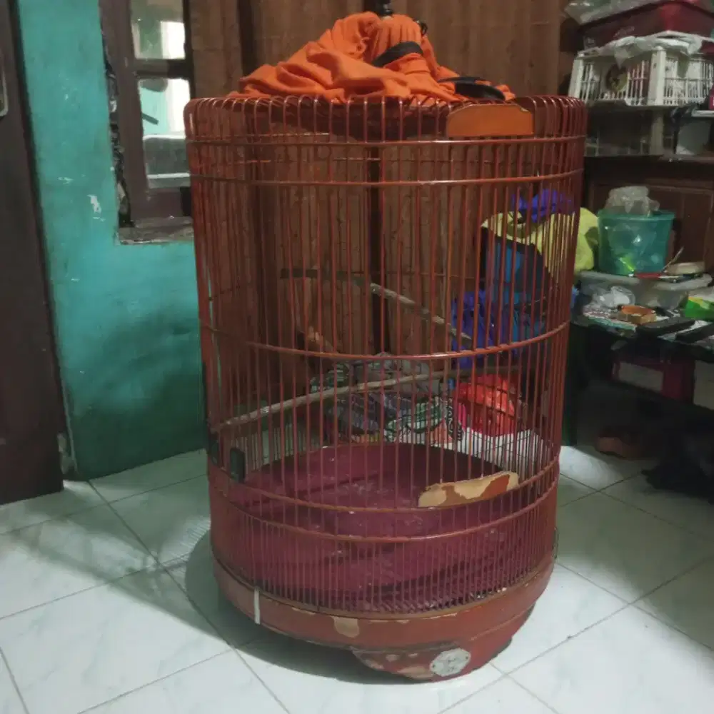 Jual Kandang murai ebod