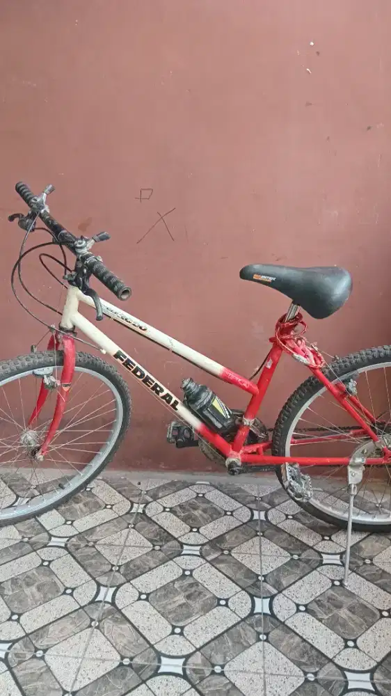 Sepeda federal lady