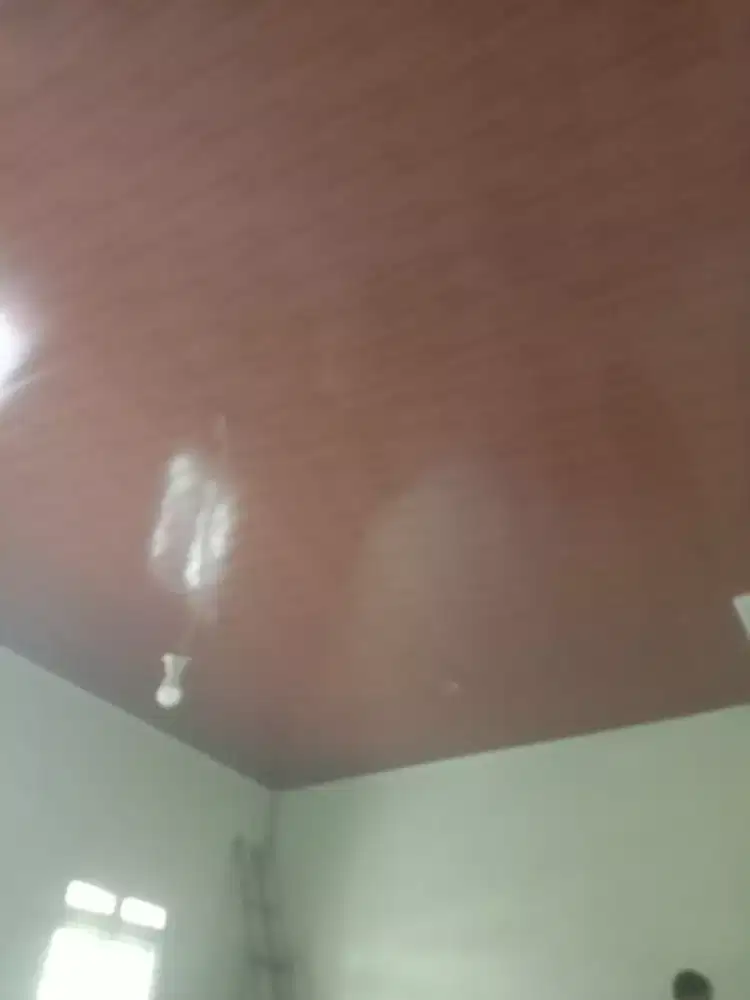 Tukang bangunan harian/borongan