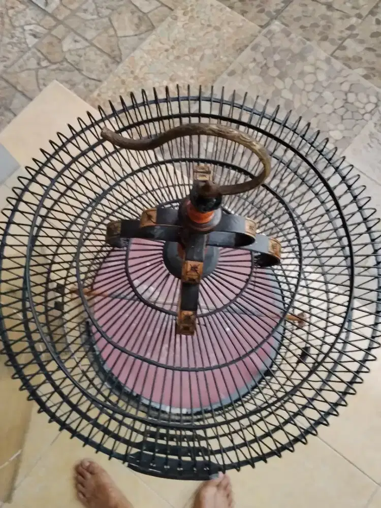 Kandang murai harian No 1