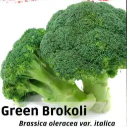 Benih sayur Brokoli Hijau Unggul sekitar kurang lebih 300-400 biji