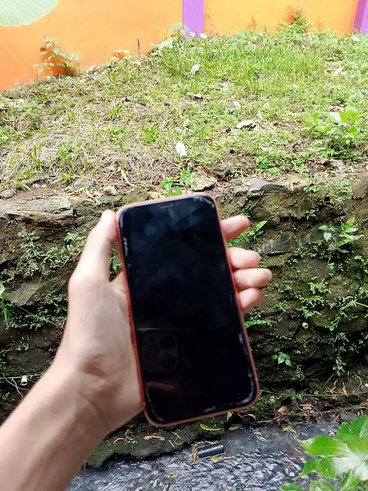 IPHONE XR CORAL 64 gb