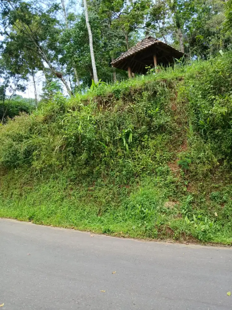 BU tanah pinggir jalan provinsi