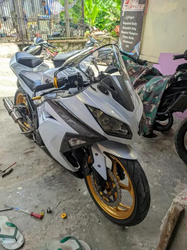 Kawasaki 250 fi 2013