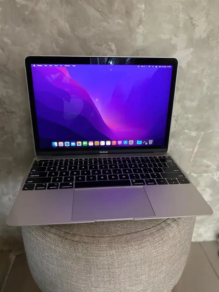 Macbook Retina 2016 RAM 8/256GB