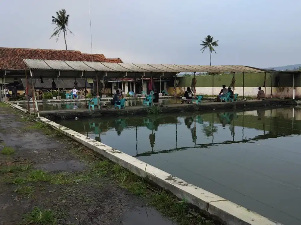 Dijual kolam pemancingan dikuningan
