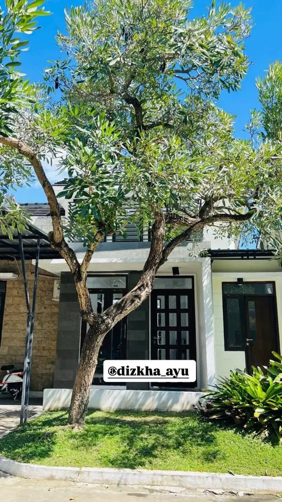 Disewakan Rumah 2KT Kasongan Bantul Dekat Kota Jogja