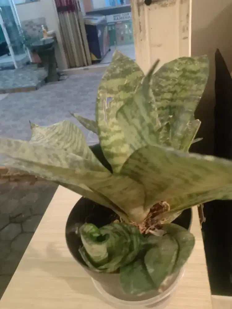 Dicari karyawan di bidang fnb