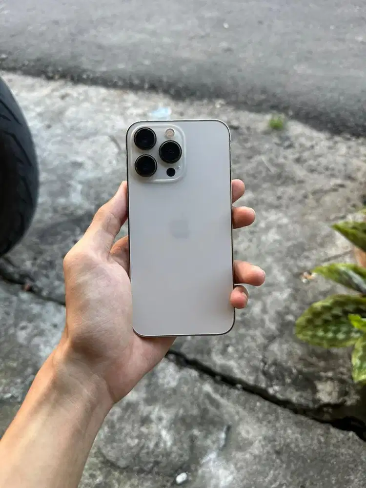 iphone 13 pro 256Gb ex inter