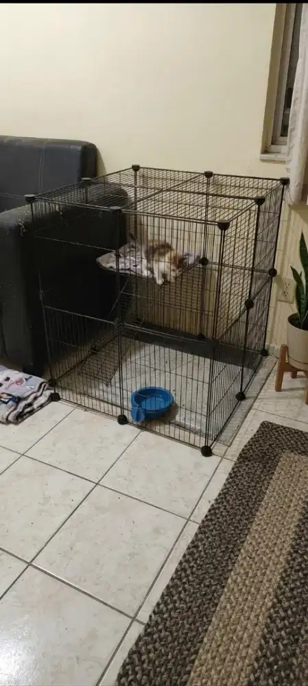 Kandang Kucing Modular Pagar Besi (20 Panel)