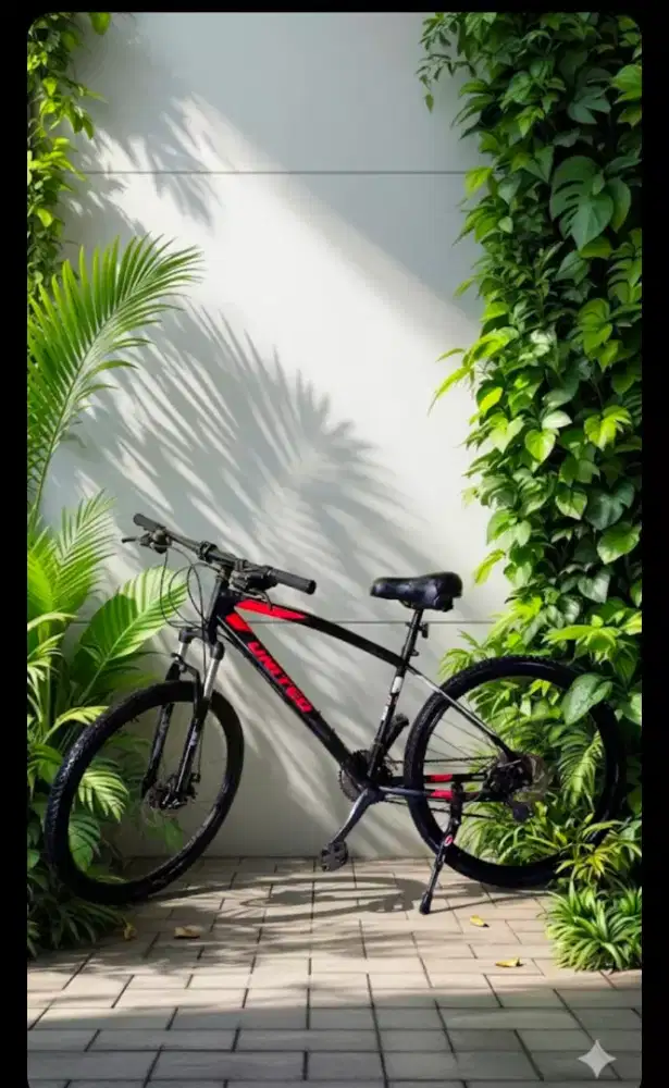 Sepeda united monanza 3.00