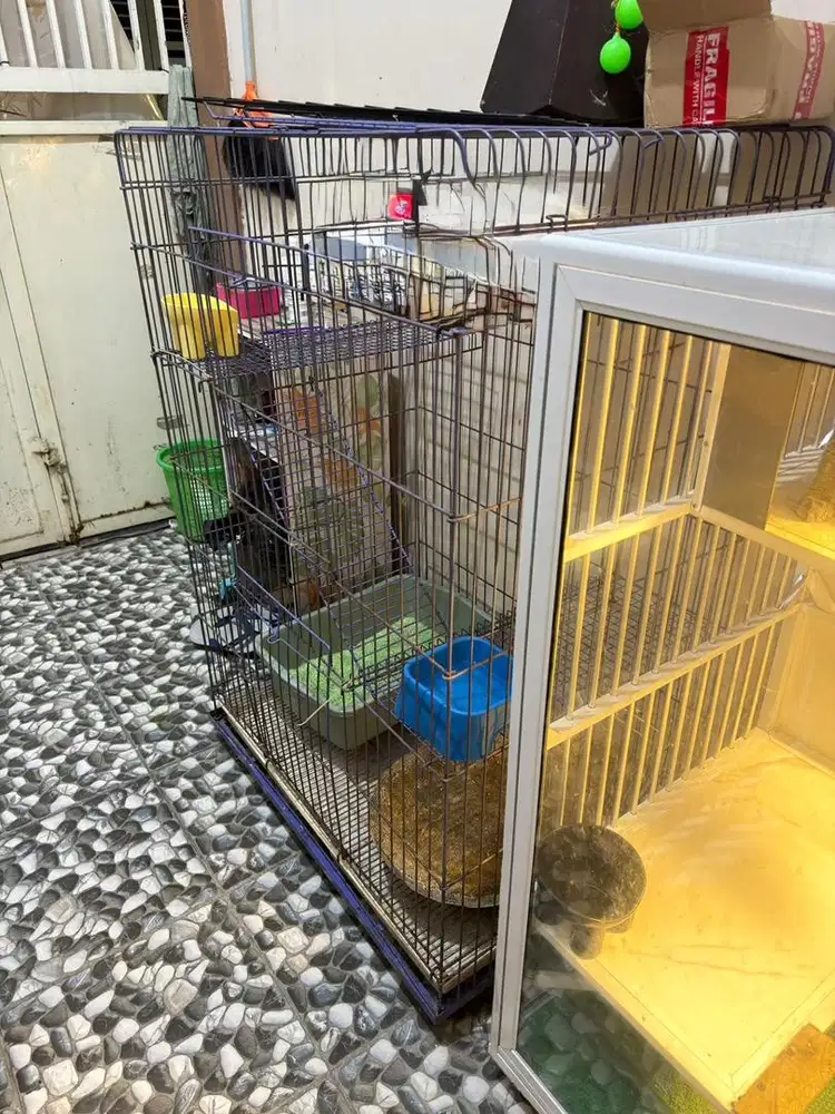 kandang kucing tingkat