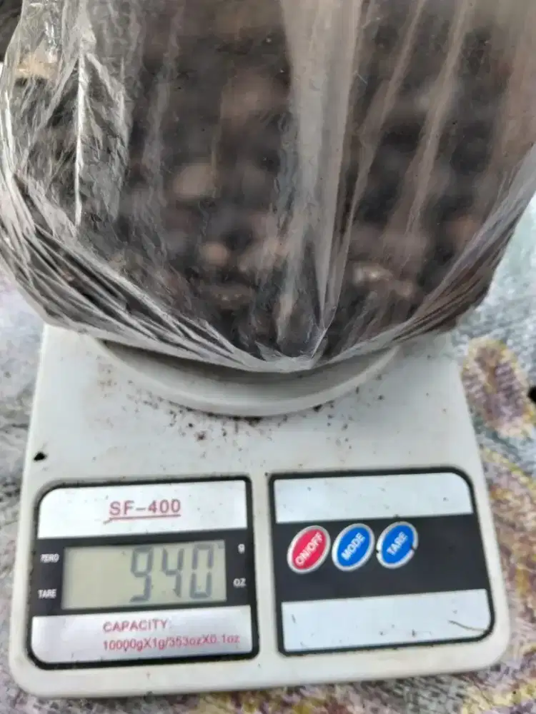 Dicari pria bisa kerja mandor, teli , cek barang, serabutan di pabrik