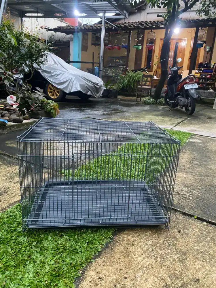 Kandang burung kandang ternak lovebird solo