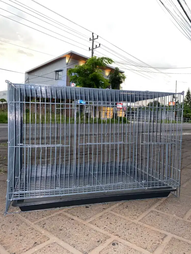 Jogja Kandang ternak lovebird