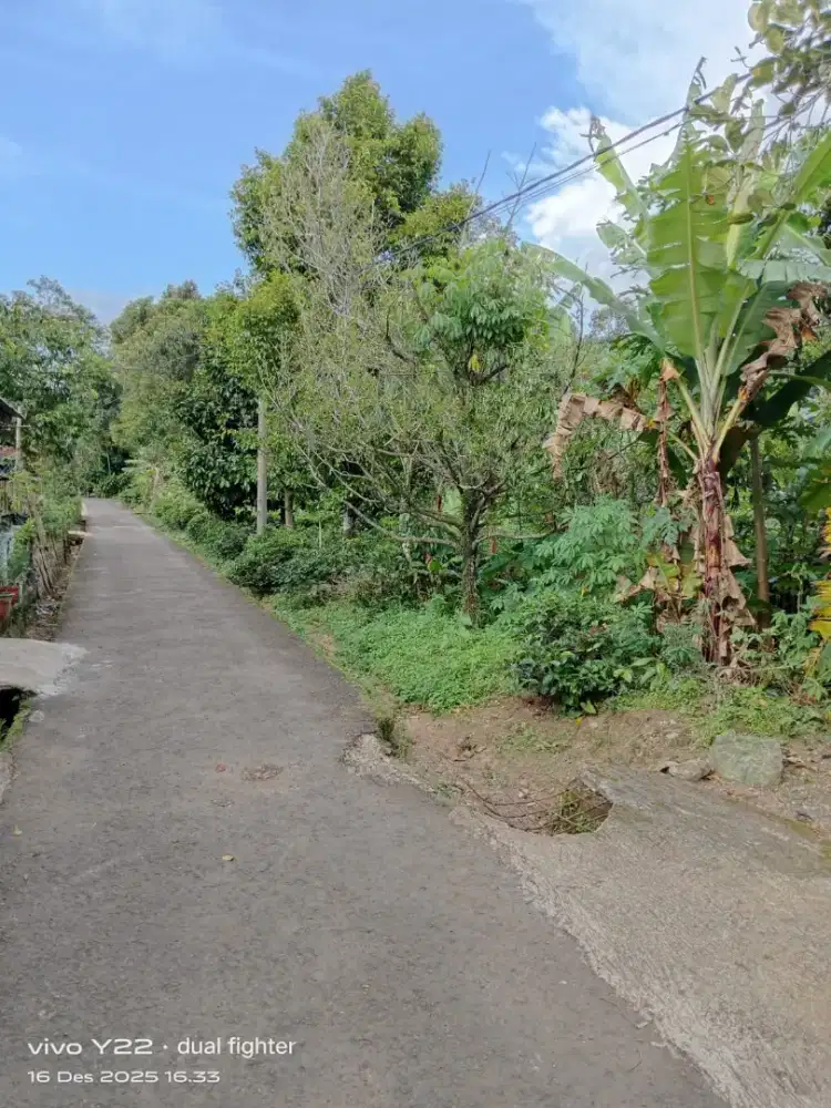 Jual kapling dengan luas lebar 80 panjang 20 total 160 sebanyak 6