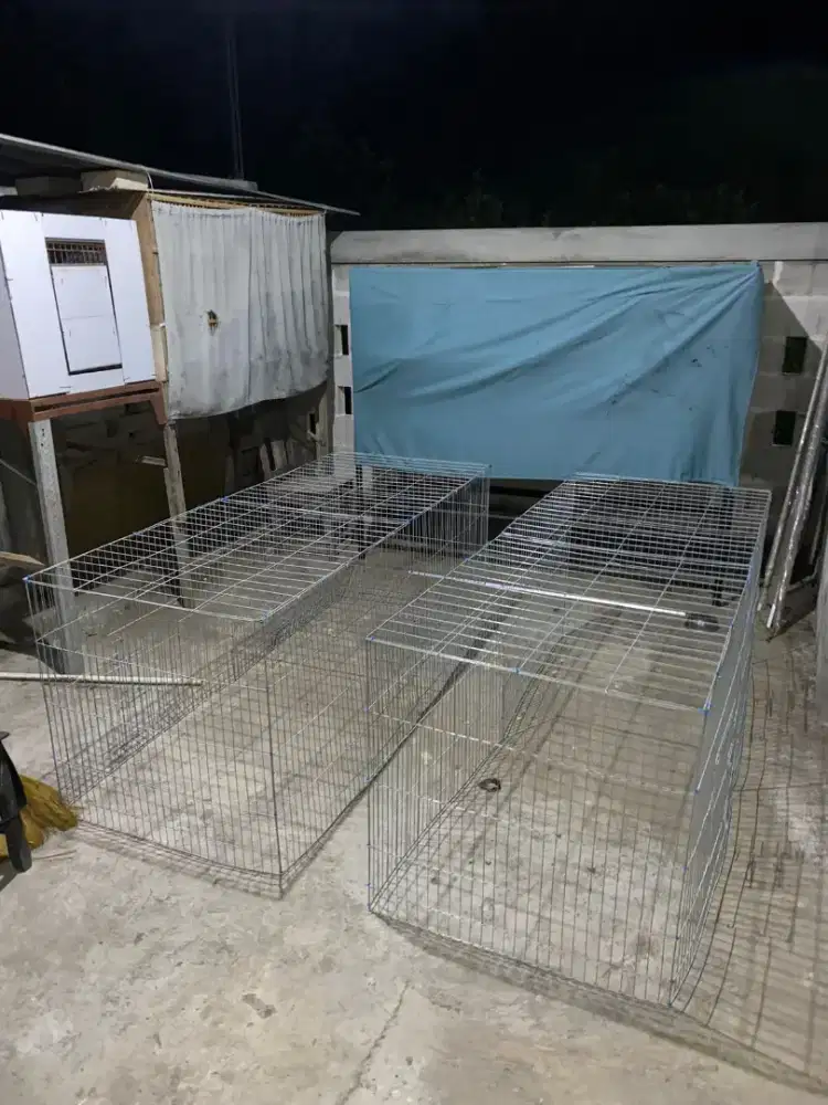 Umbaran Ayam Jogja 2 meter