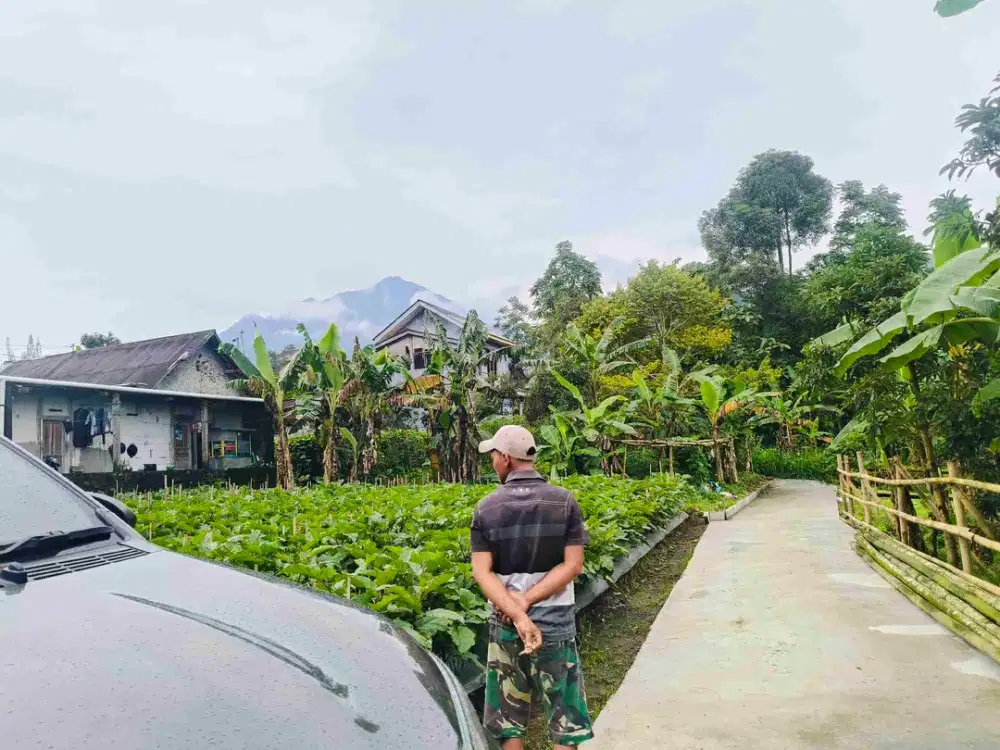 Jual tanah murah tawangmangu karanganyar 750jt jd 625jt