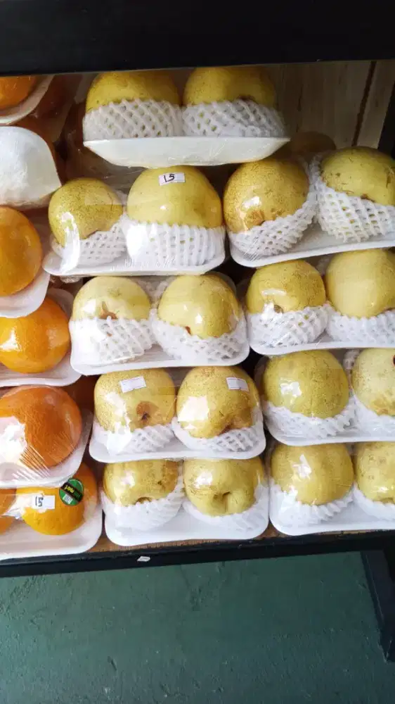 Lowongan Asisten Pribadi Kantoran